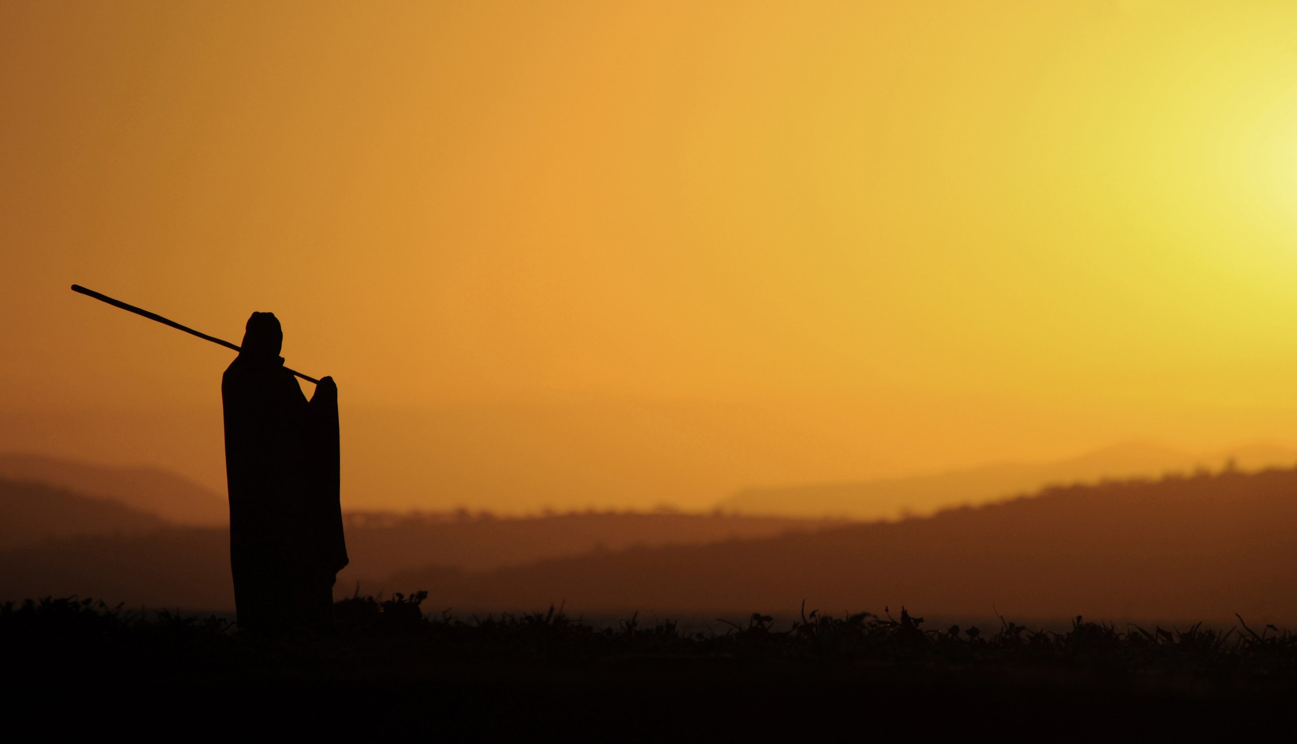 followsun3