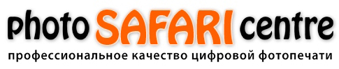logo safari13